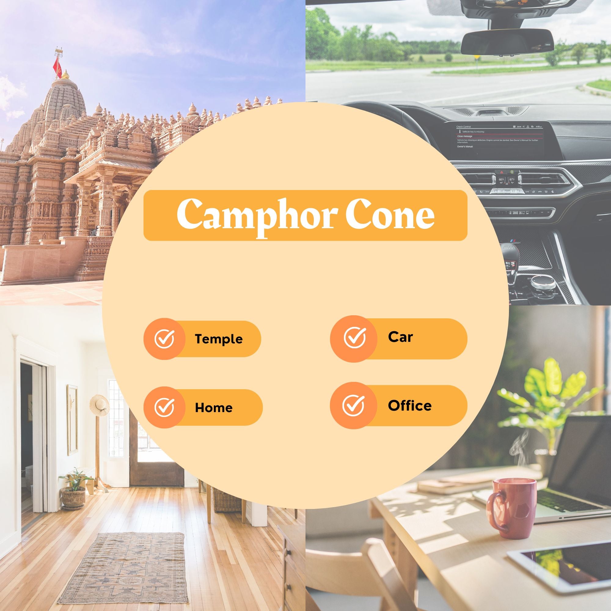 Camphor Cone